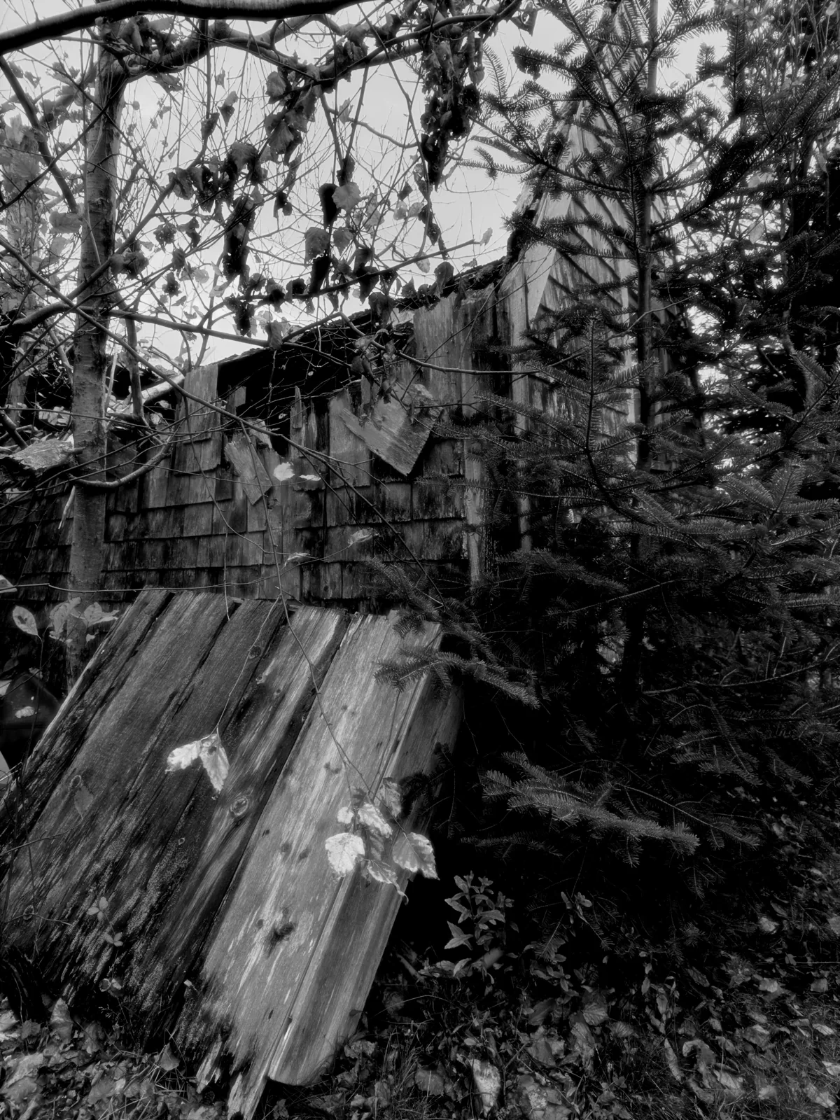Abandoned